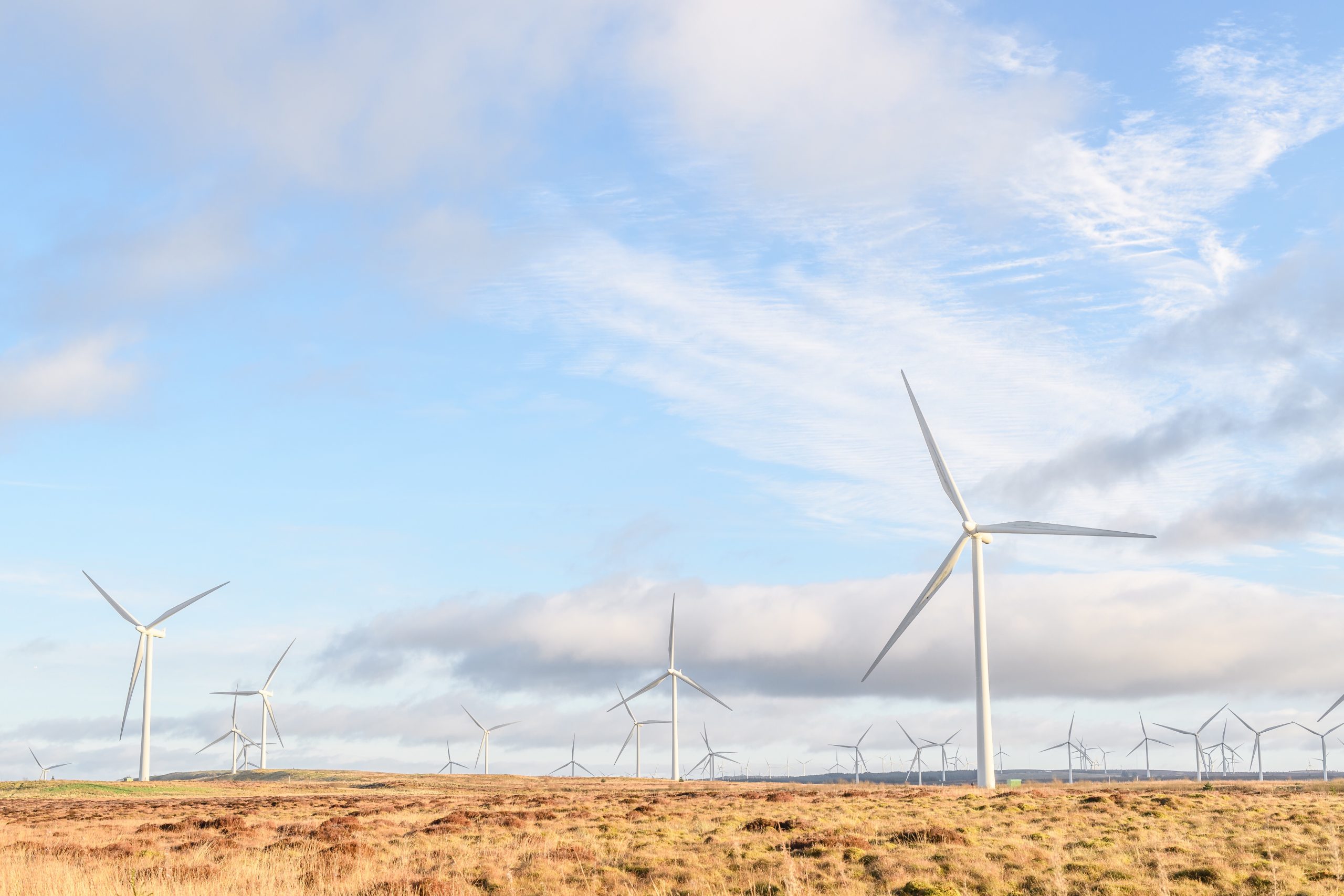 wind turbines generating green energy